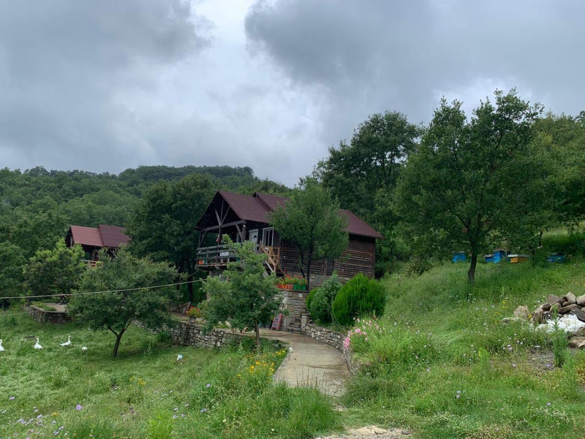 Villa Origjina Farm Përmet Exterior foto