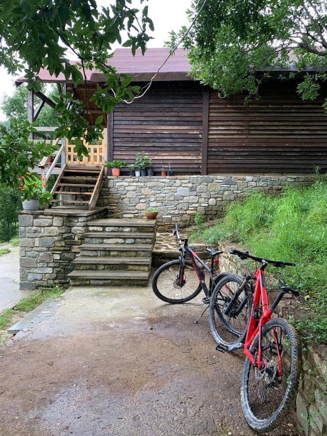 Villa Origjina Farm Përmet Exterior foto